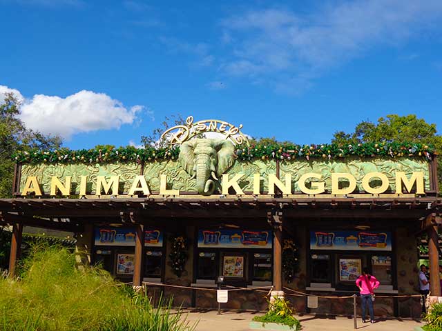 Orlando Insider Vacations Guide to Disney's Animal Kingdom Park