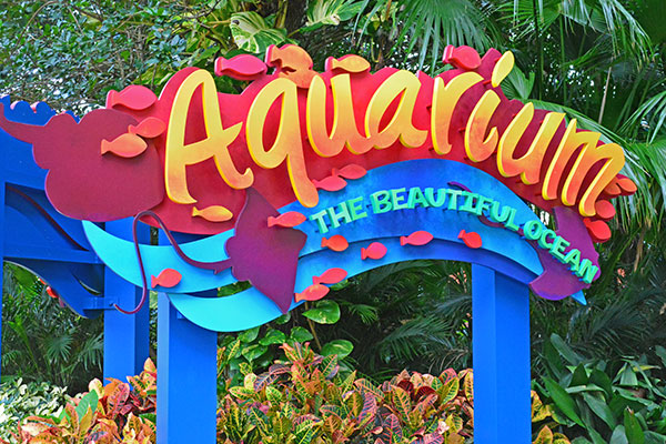 Aquarium SeaWorld Orlando