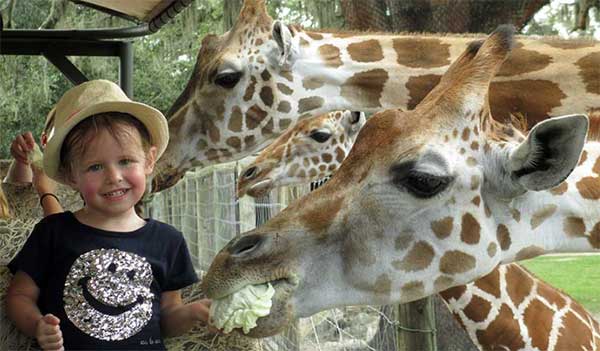 Animal Encounters - Giraffe Ranch