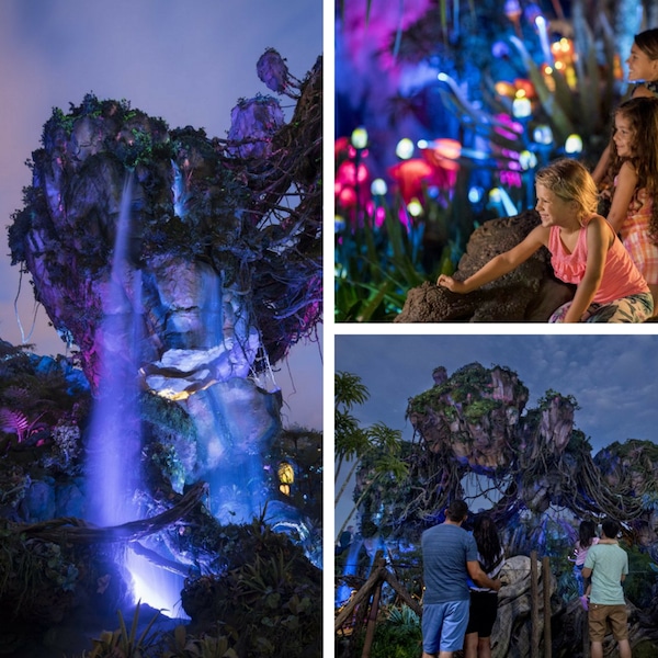 Disney After Hours - Animal Kingdom - Pandora at night