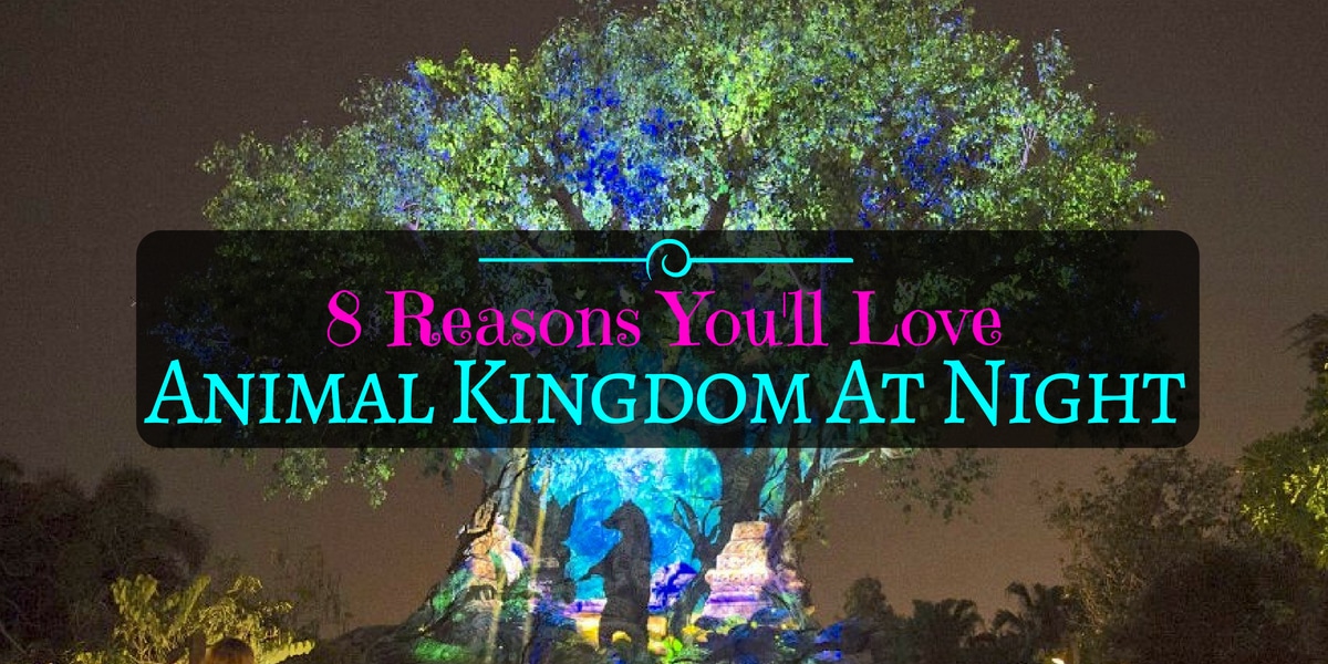 8 Reasons to Love Animal Kingdom At Night •