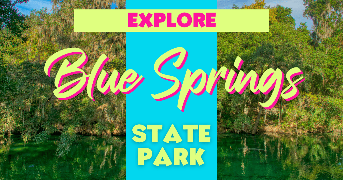 Going Beyond the Theme Parks in Central Florida: Blue Spring State Park