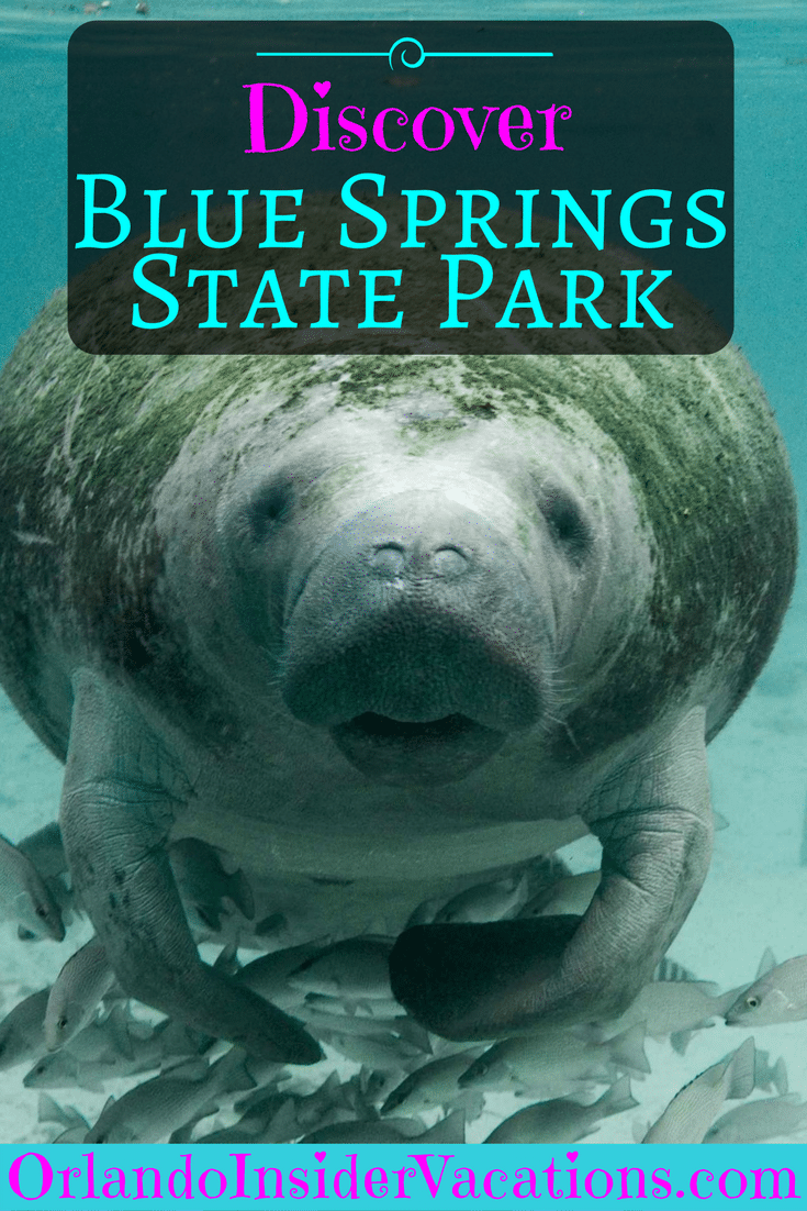 Blue Springs State Park