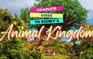 Complete Guide to Animal Kingdom