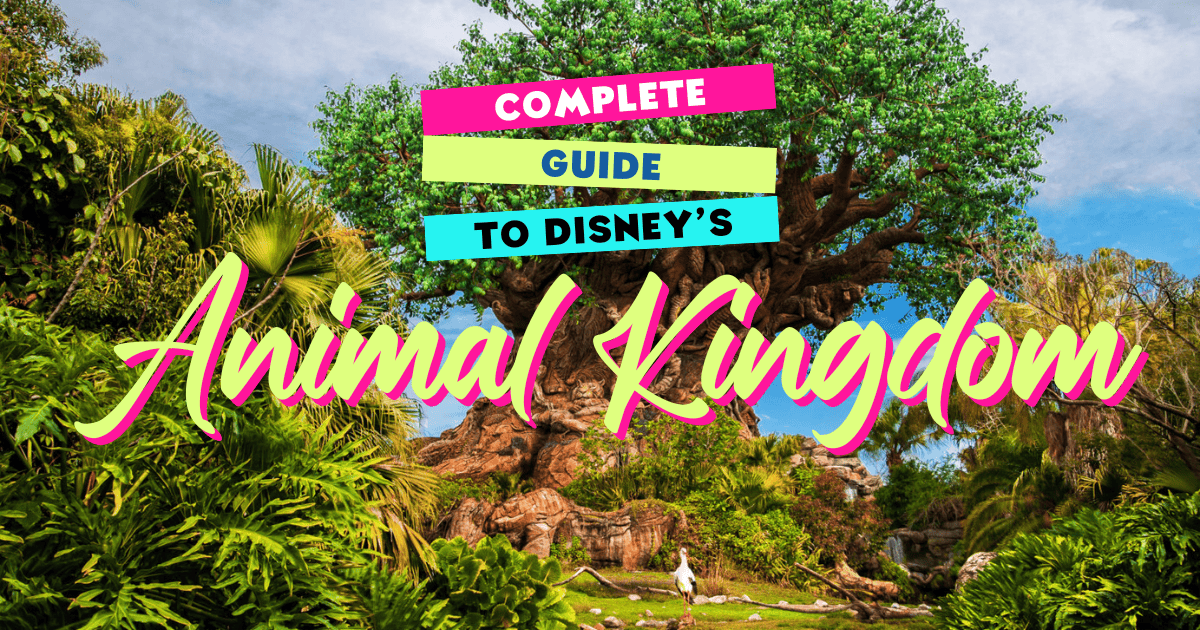 Complete Guide to Animal Kingdom