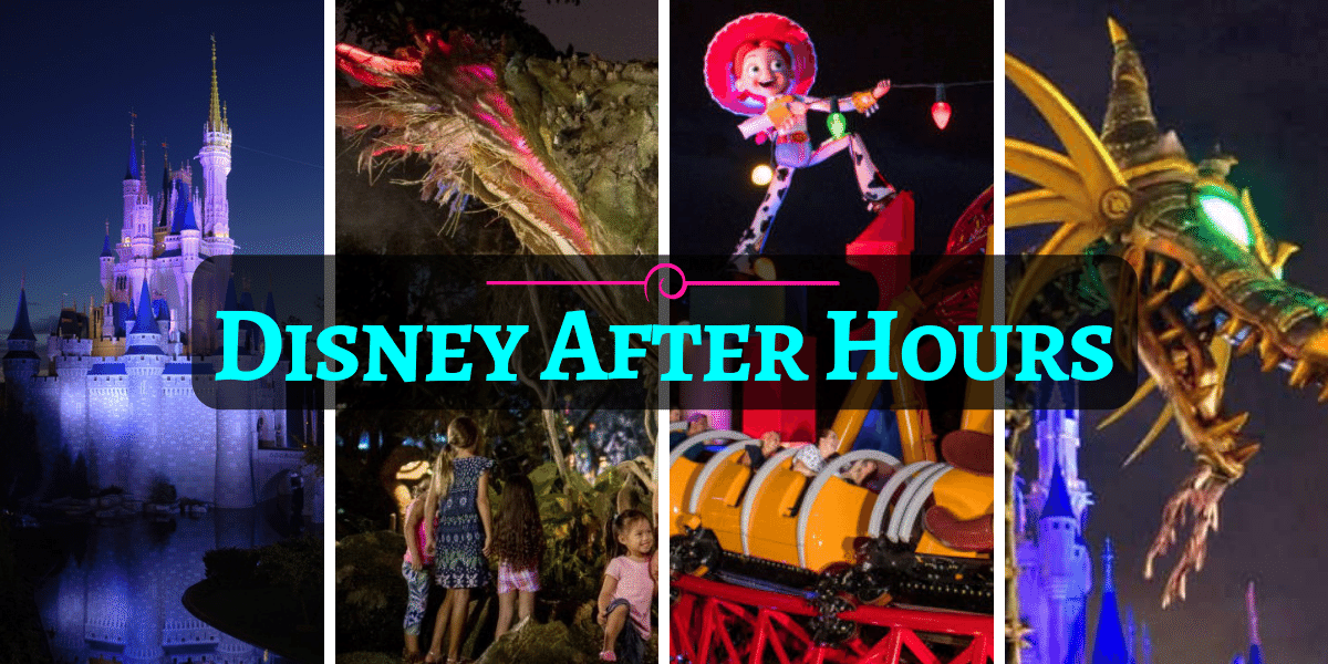 Disney After Hours events at Magic Kingdom, Animal Kingdom and Hollywood Studios