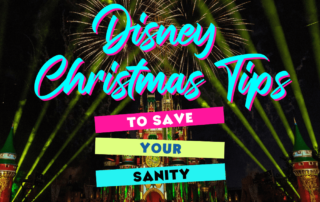 Disney Christmas Tips to Save Your Sanity