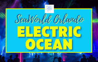 Electric Ocean SeaWorld Orlando Florida