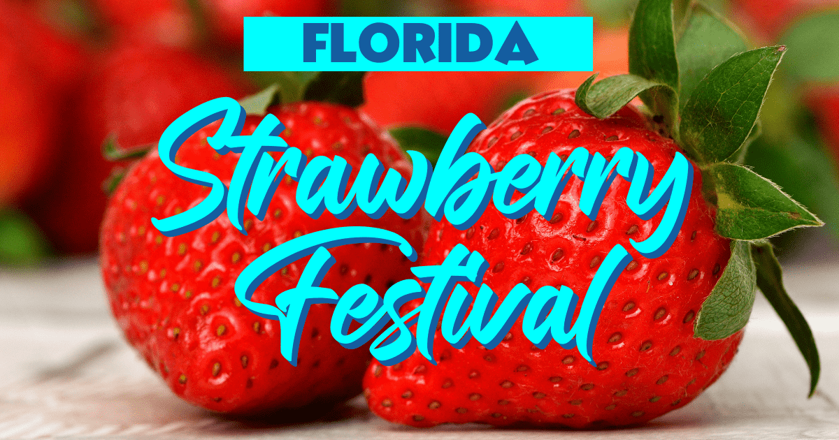 Florida Strawberry Festival 2024 Enjoy Sweet Celebrations