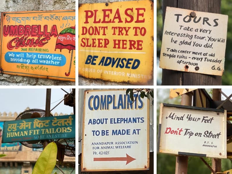 Fun Signs in Animal Kingdom Asia
