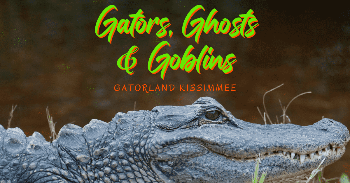 Gators Ghosts and Goblins at Gatorland