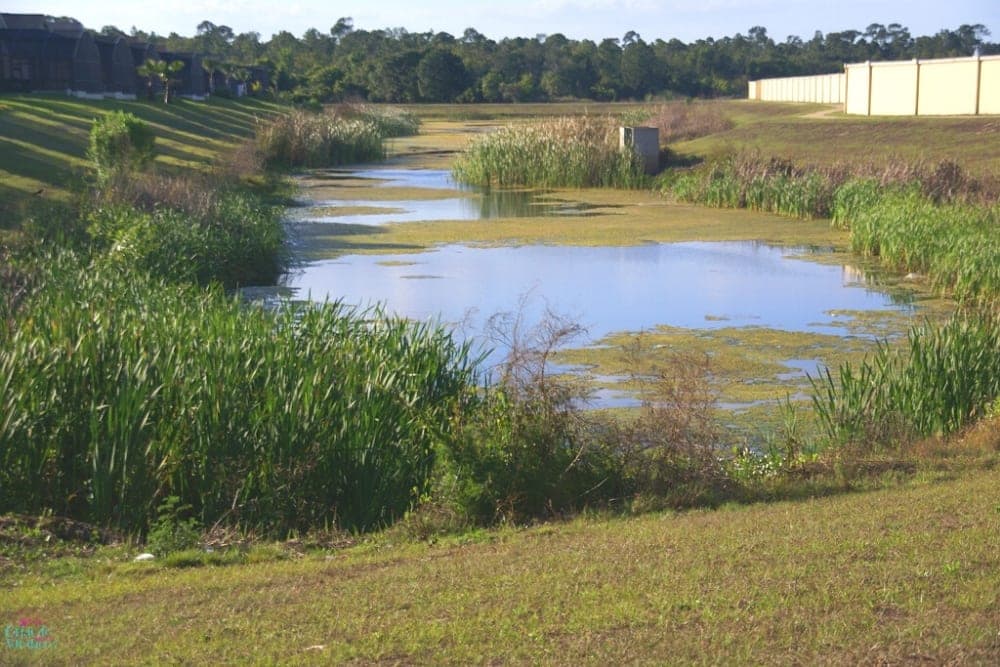Indian Creek Pond