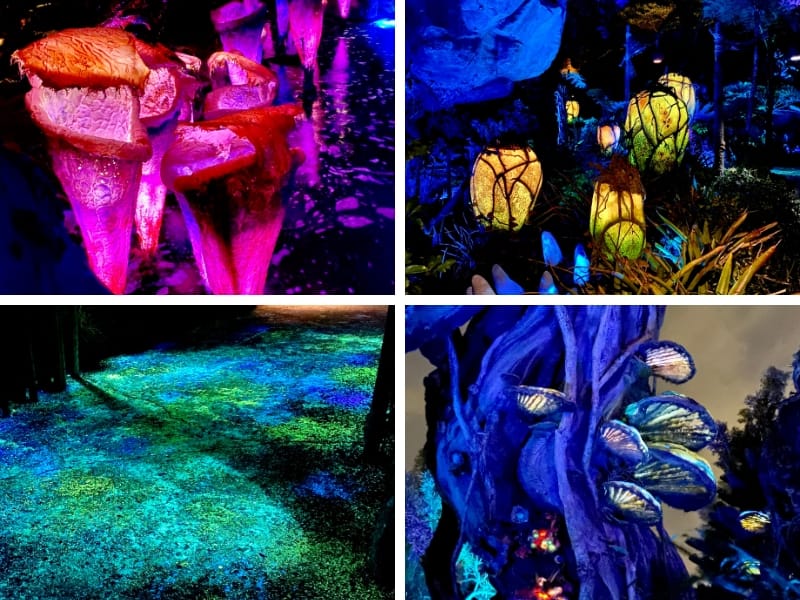 Pandora World of Avatar at night