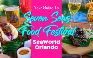 SeaWorld Seven Seas Festival