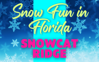 Snowcat Ridge Florida Alpine Village