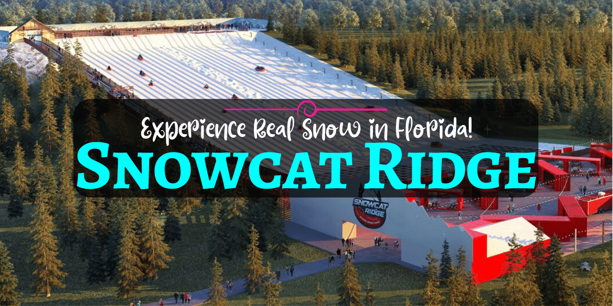 Snowcat Ridge Alpine Village Florida Orlando Insider Vacations
