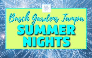 Summer Nights Busch Gardens Tampa Florida