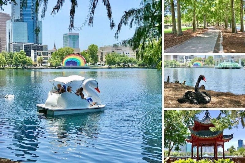 Social Distancing Activities: Swan Boat Rides Orlando