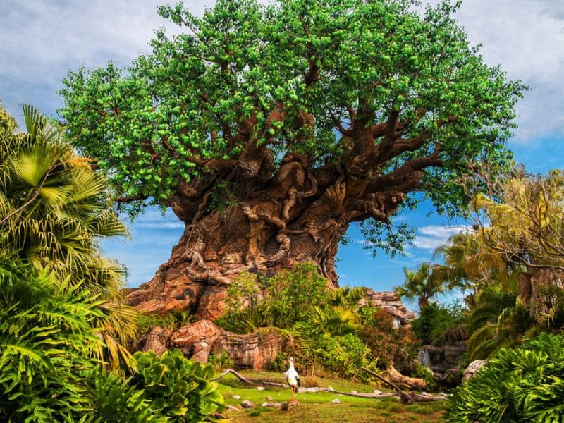 Tree of Life at Discovery Island