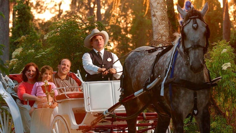 Horse Drawn Carriage Rides at Fort Wilderness