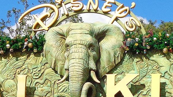 Animal Kingdom | Orlando Insider Vacations