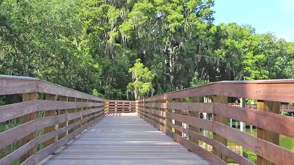 Day Trips from Orlando - Palm Park