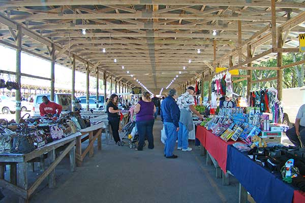 Webster Outdoor Market